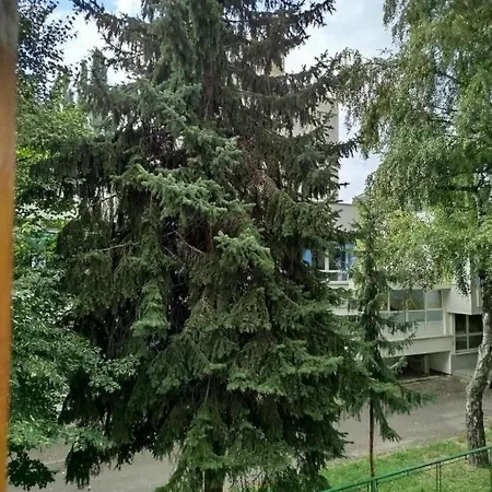 Odmor U Sarajevu Na Grbavici * Szarajevó