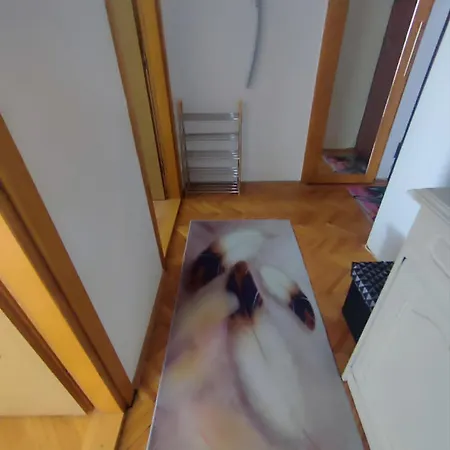 Odmor U Sarajevu Na Grbavici *