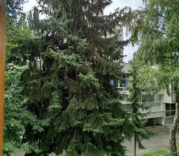 Odmor U Sarajevu Na Grbavici * Sarajevo